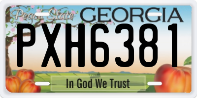 GA license plate PXH6381