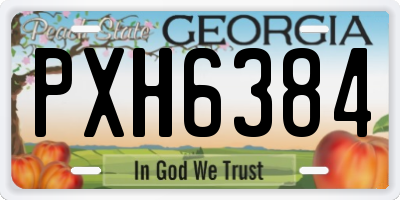 GA license plate PXH6384
