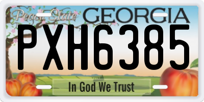 GA license plate PXH6385