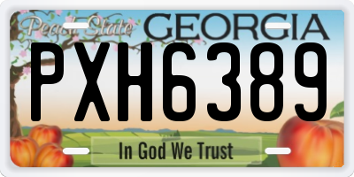 GA license plate PXH6389