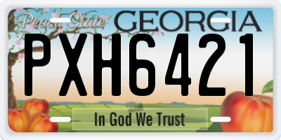 GA license plate PXH6421