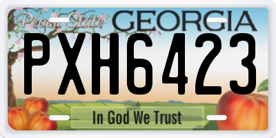 GA license plate PXH6423