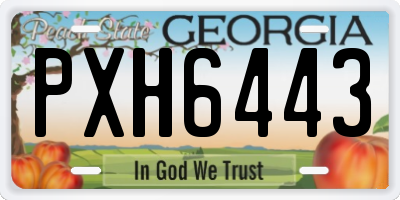 GA license plate PXH6443