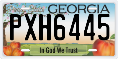 GA license plate PXH6445