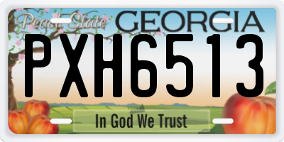 GA license plate PXH6513
