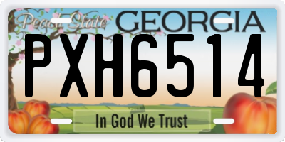 GA license plate PXH6514