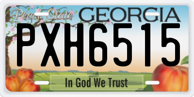 GA license plate PXH6515