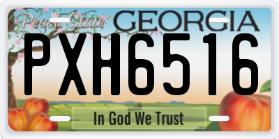 GA license plate PXH6516