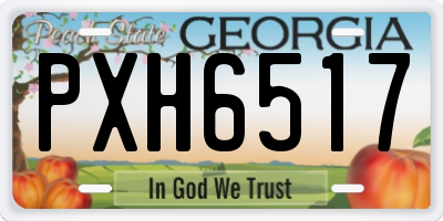 GA license plate PXH6517