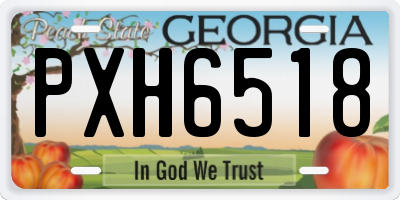 GA license plate PXH6518