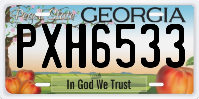 GA license plate PXH6533