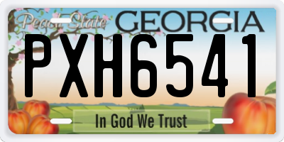 GA license plate PXH6541