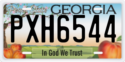 GA license plate PXH6544