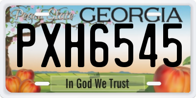 GA license plate PXH6545