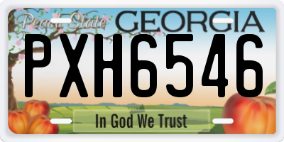 GA license plate PXH6546