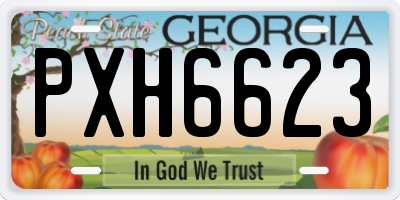 GA license plate PXH6623