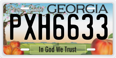 GA license plate PXH6633