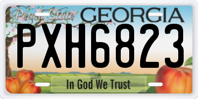 GA license plate PXH6823