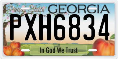 GA license plate PXH6834