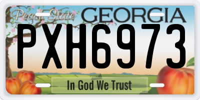 GA license plate PXH6973