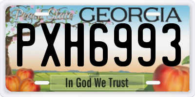 GA license plate PXH6993