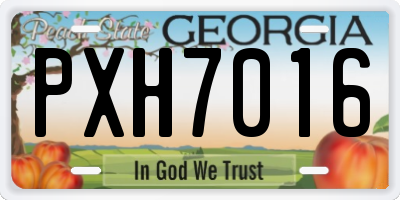 GA license plate PXH7016