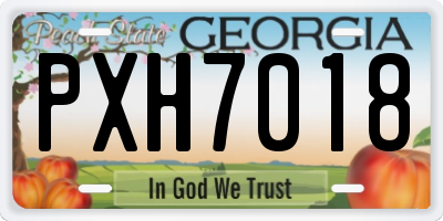 GA license plate PXH7018