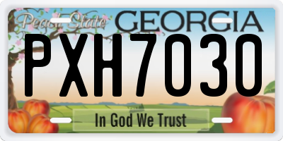 GA license plate PXH7030