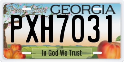 GA license plate PXH7031