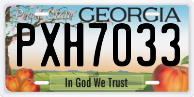 GA license plate PXH7033