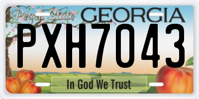 GA license plate PXH7043