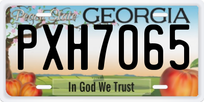 GA license plate PXH7065