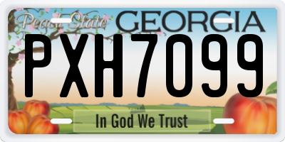 GA license plate PXH7099
