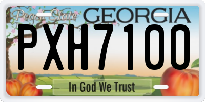 GA license plate PXH7100