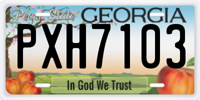 GA license plate PXH7103
