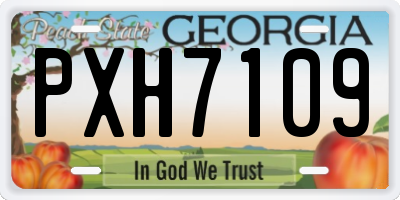 GA license plate PXH7109
