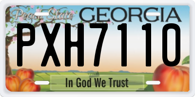 GA license plate PXH7110