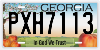 GA license plate PXH7113
