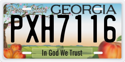 GA license plate PXH7116