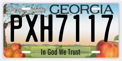 GA license plate PXH7117