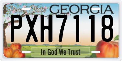GA license plate PXH7118