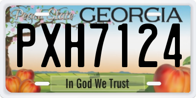 GA license plate PXH7124