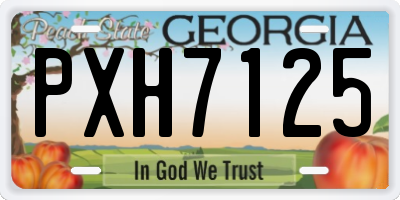 GA license plate PXH7125