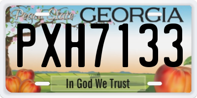 GA license plate PXH7133