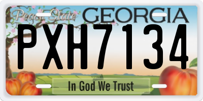GA license plate PXH7134