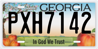 GA license plate PXH7142