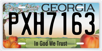 GA license plate PXH7163