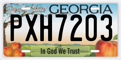 GA license plate PXH7203
