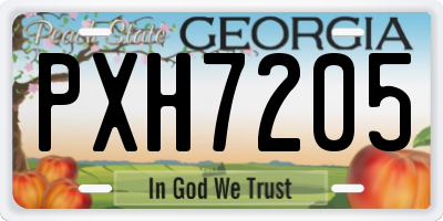 GA license plate PXH7205