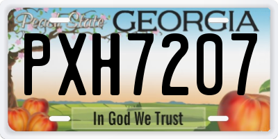 GA license plate PXH7207